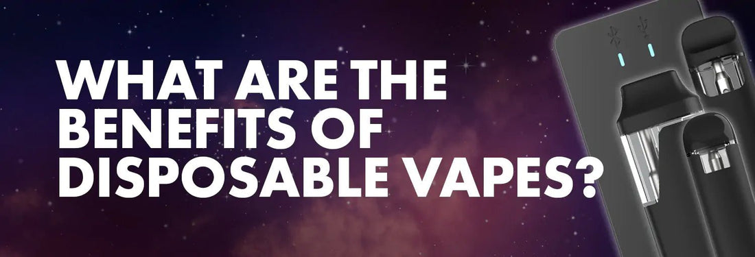 What Are The Benefits Of Disposable Vapes? - iKrusher